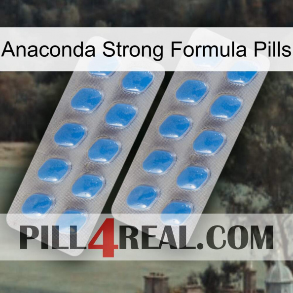 Anaconda Strong Formula Pills 23.jpg